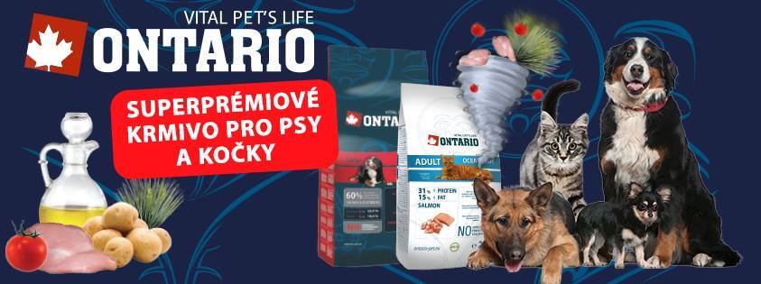 ONTARIO-1