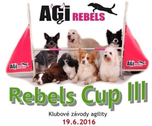 rebels-cup-III-1-e1464984314386