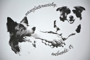 nasezlaterucicky