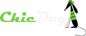 logo-chic