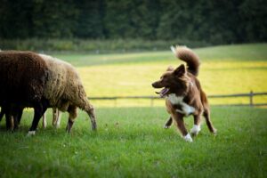 IMG_20170918_173113