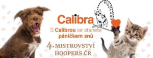 FB_IMG_1676919302143