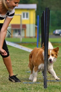 DSC_0706-      
