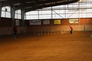 IMG_1306