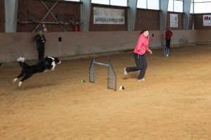 IMG_1331