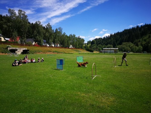 IMG-20220616-WA0006