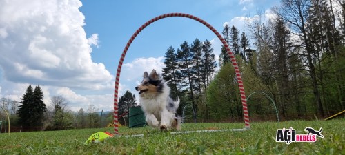 Photo 1651776805797