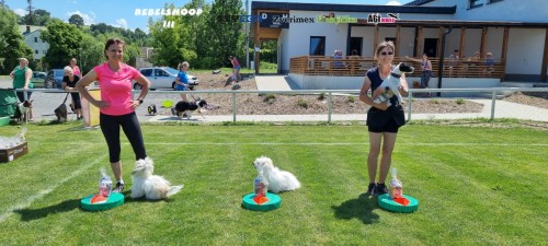 Photo 1655058162779