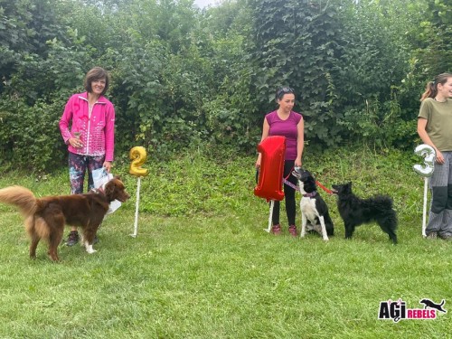 Photo 1660410307610