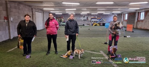 Photo 1679838059511      